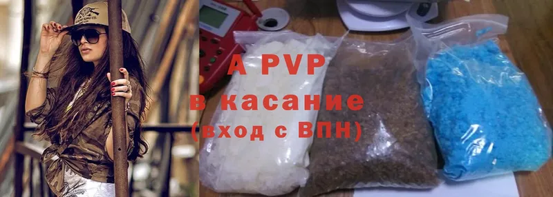 A PVP СК КРИС  Лесосибирск 